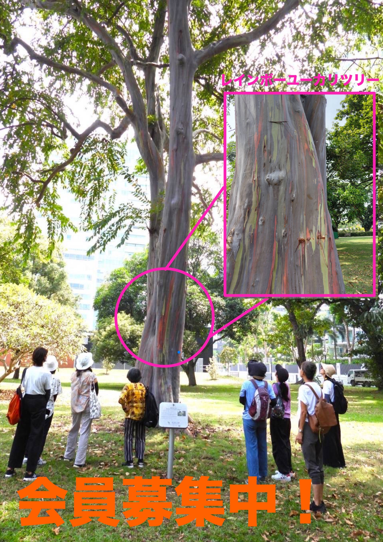 Shizentomonokai_page-0001.jpg (1.84 MB)