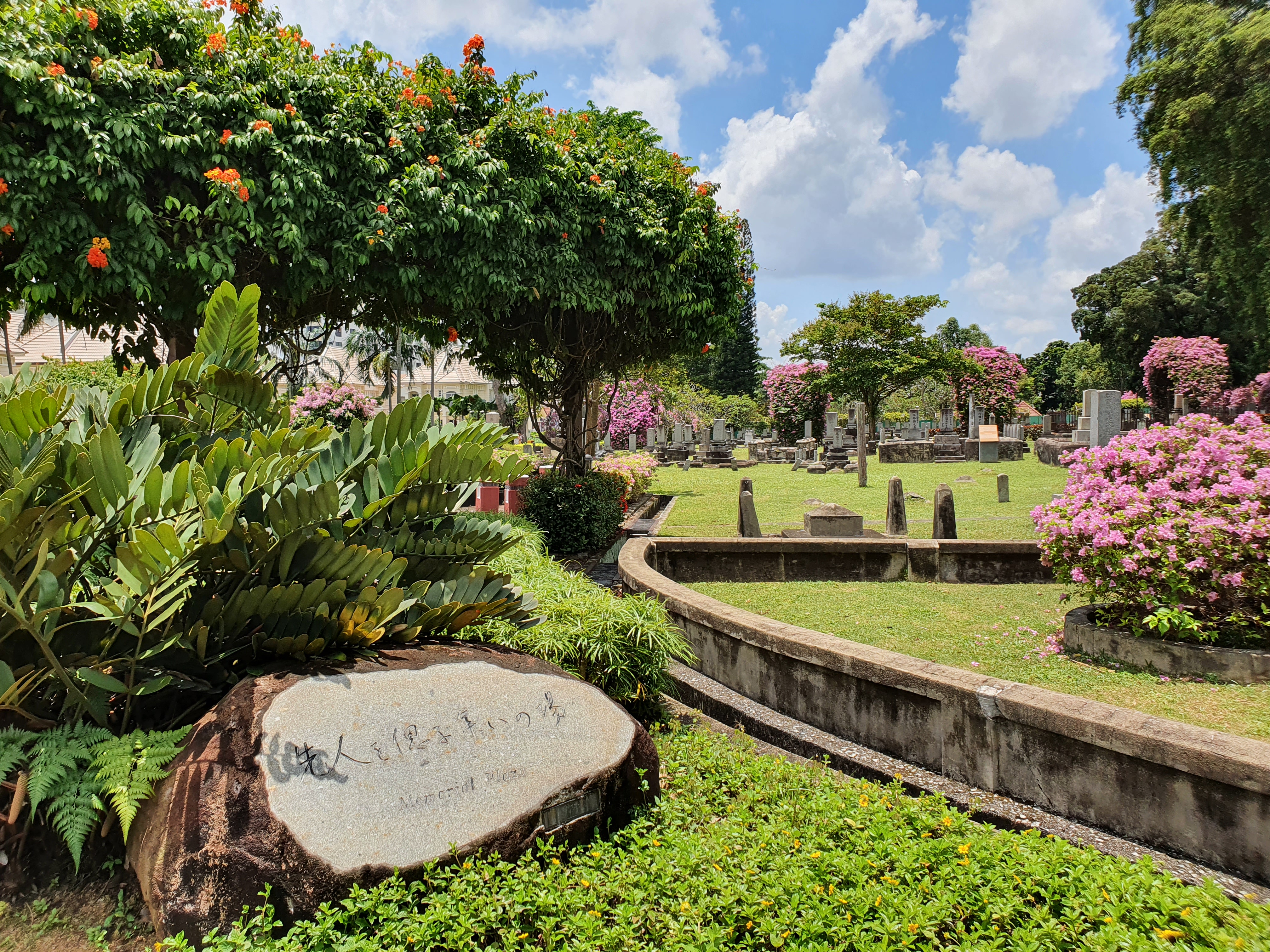 20210828_130819.jpg (5.22 MB)