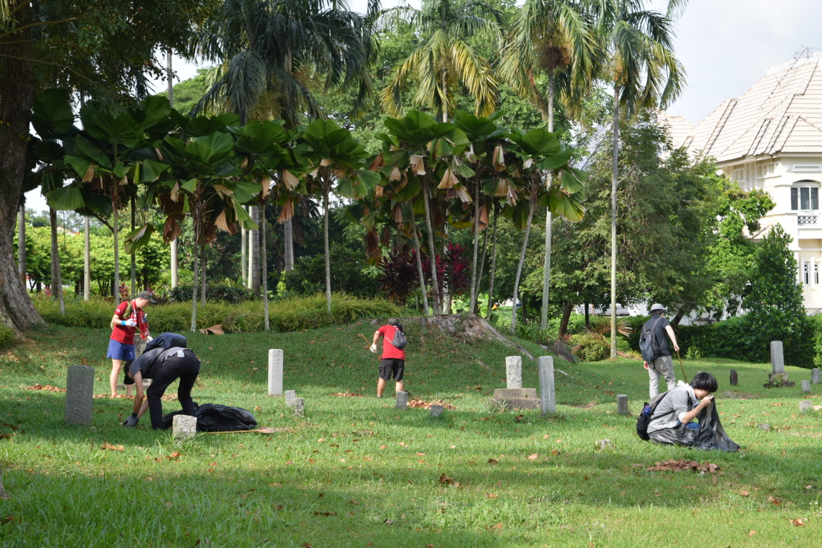 IMG_5132.JPG (660 KB)