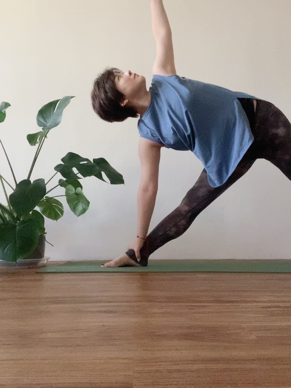 Shiseikaizen.jpg (267 KB)