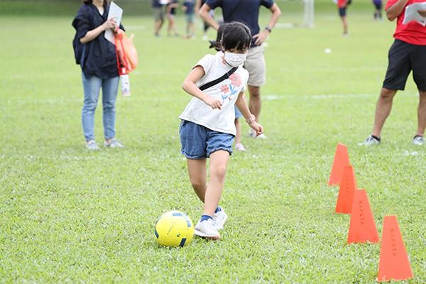 2114451437614d9bdb473270.64798510