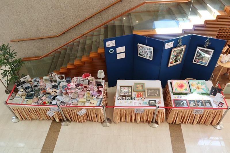 51233922662c2b4dc9d2fa7.30280571