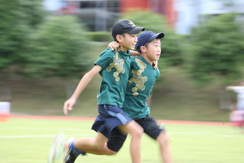 1646826228637cace0337d34.07087893