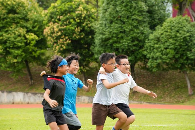 1816878530637cace369d810.78082106