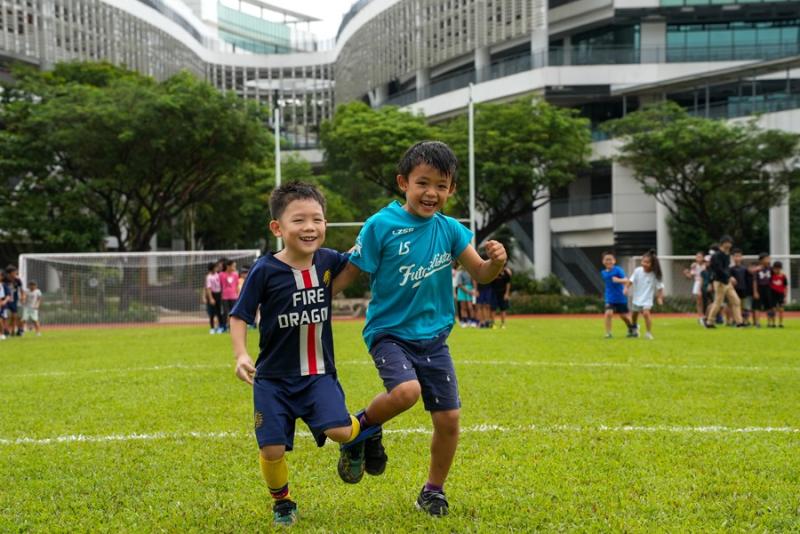 2803369637cace4cf66d7.42792081