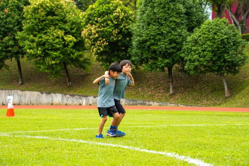 1053105248637cace956ec82.59311949