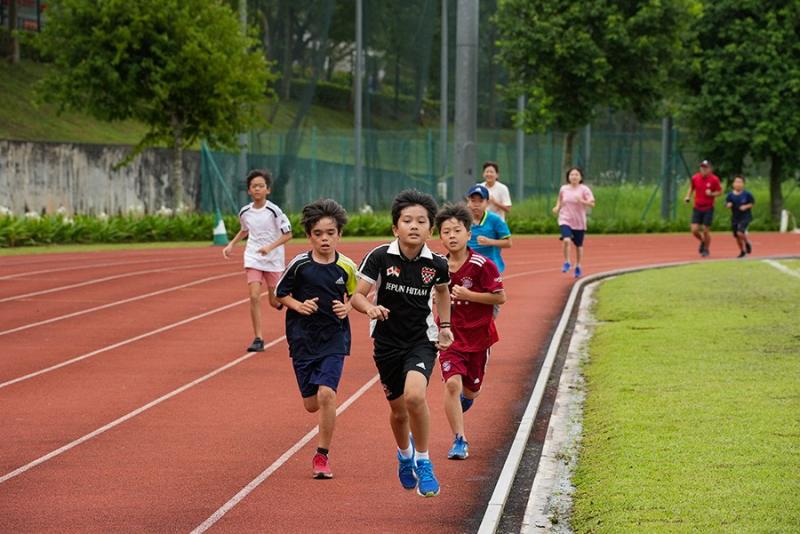 122213001637cadc7f1dee4.89854417