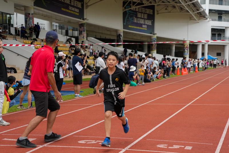 620576236637cae09155368.39784840