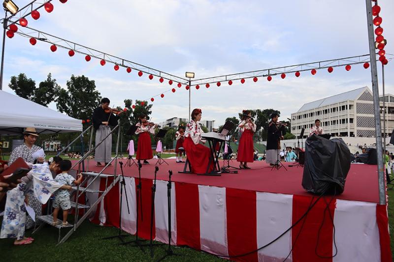 263777508650a5aa554af82.23699212