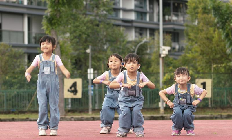 115569237650a5c4c55ab77.62917377