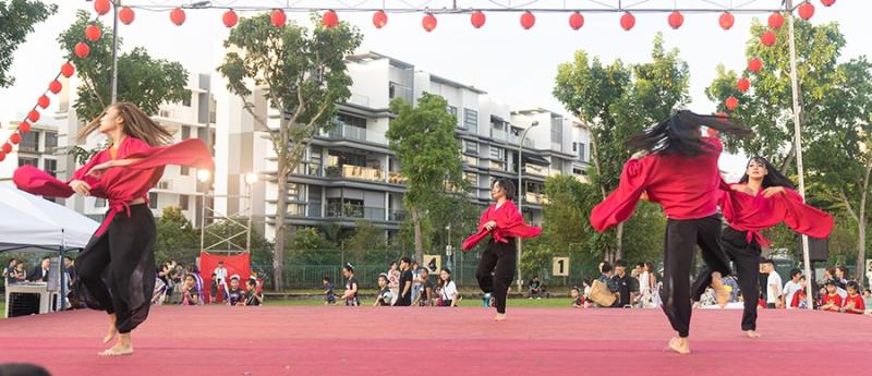 1998585404650a5c66aad256.17474209