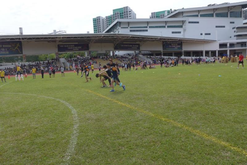 196176822166c2f9addcaad8.30425520