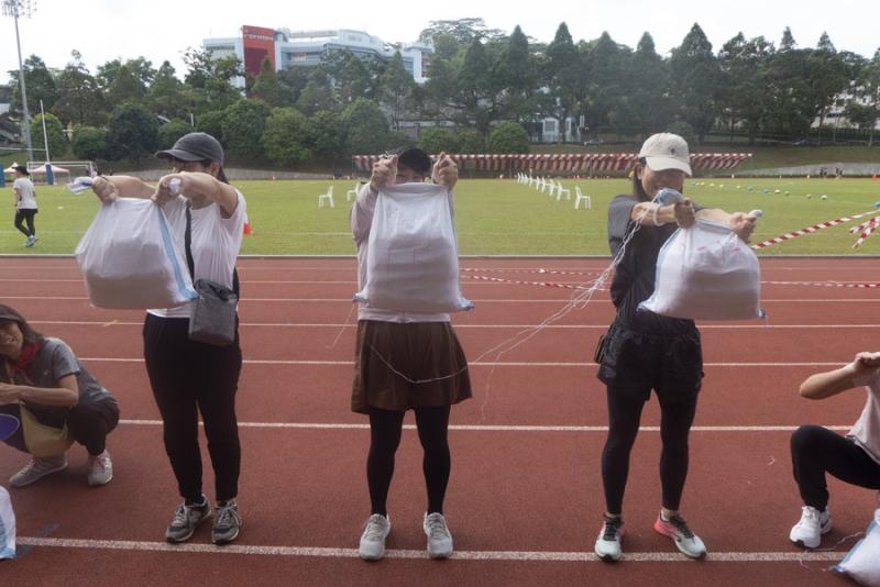 112801566366c2f9b2d073e4.46595185