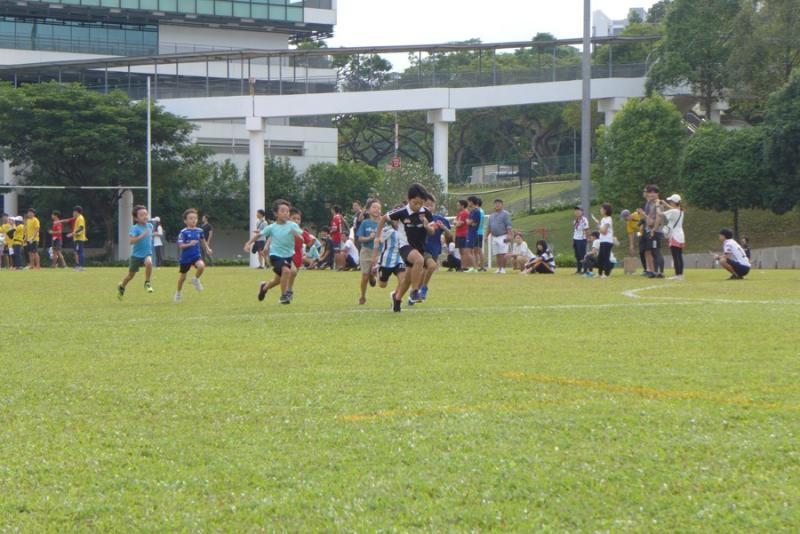 200396296166c2f9b8eebb79.24161331