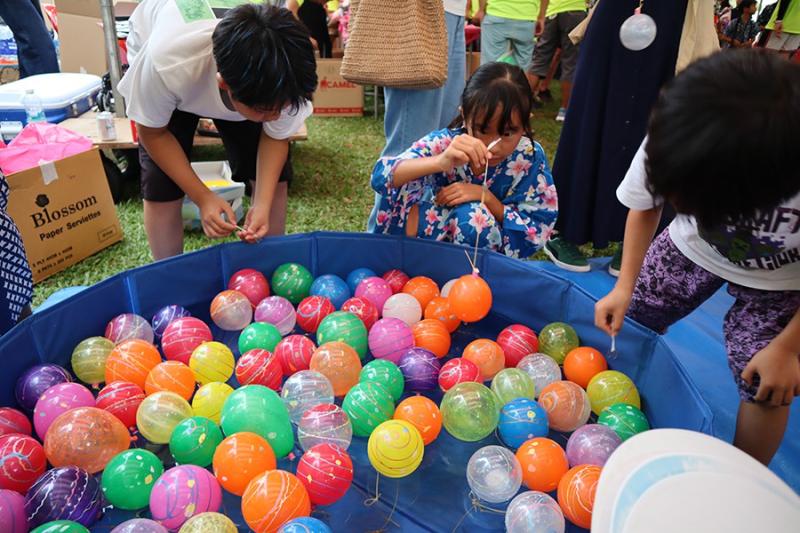 49658888666d53105a40673.99726278