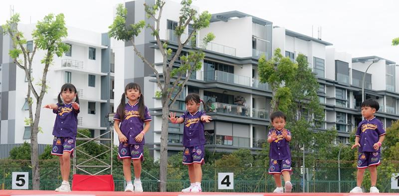 156252030066d5338ce82469.11795391