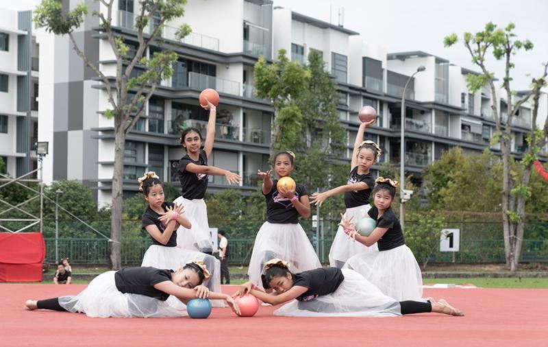 204529360166d53396935ec4.52557764