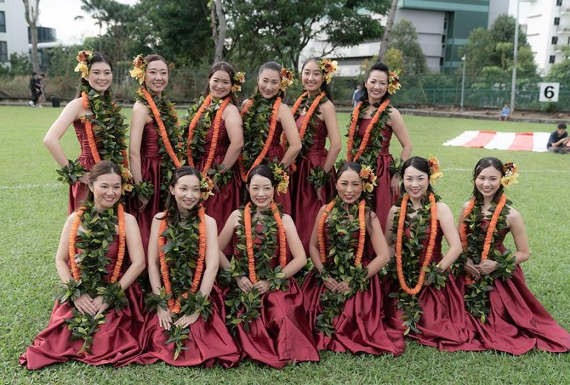 148460930466d5339a825607.78967062