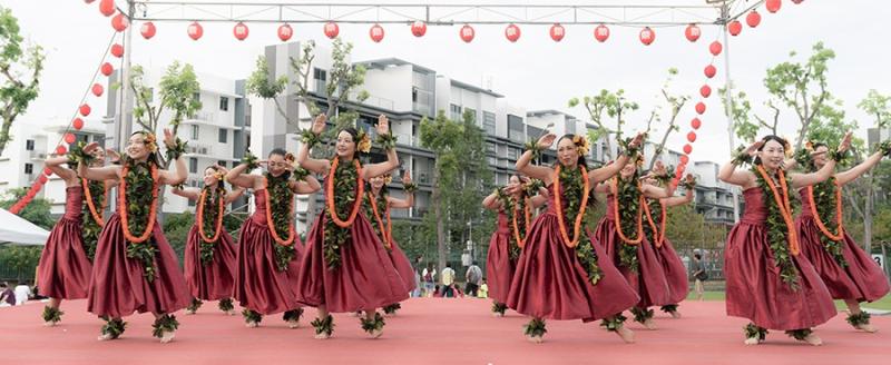 196179307866d5339c643b83.90105840