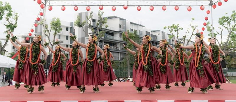 189607400666d5339caa5ab1.04541327