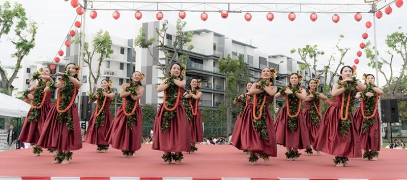 66216957266d5339cf3d0d3.16823423