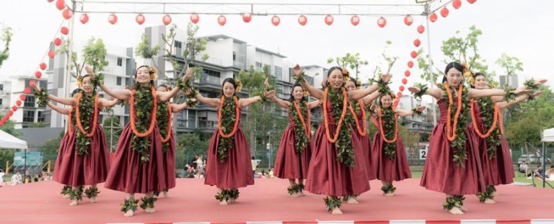 49690214866d5339ec5fe58.65033607