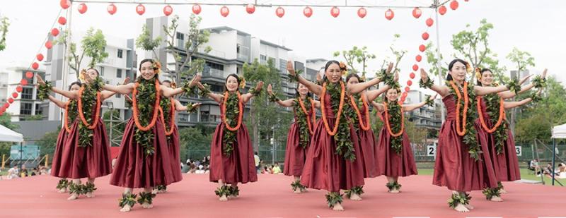 12267975266d5339f124e25.83457799