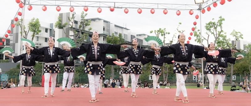 161969360466d5339fd52fd2.44618351