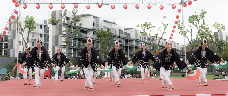 24656031066d533a20692d1.81148701