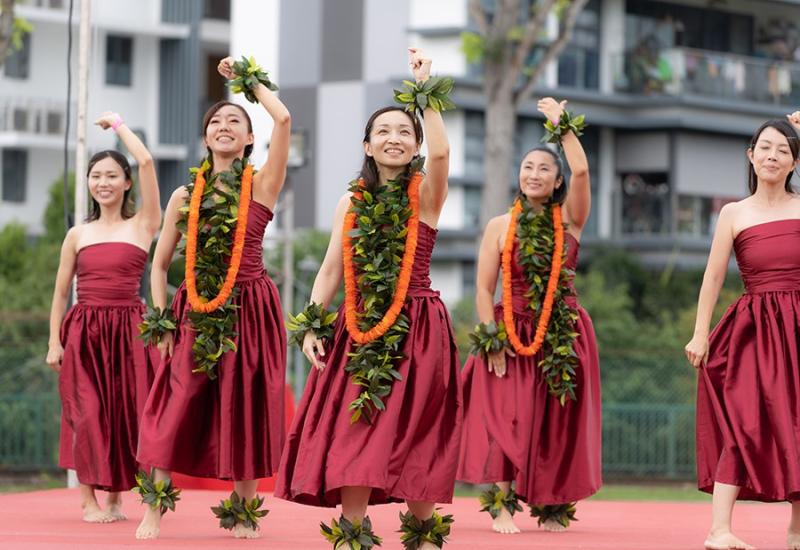 82449046766d533b78fc332.89816178