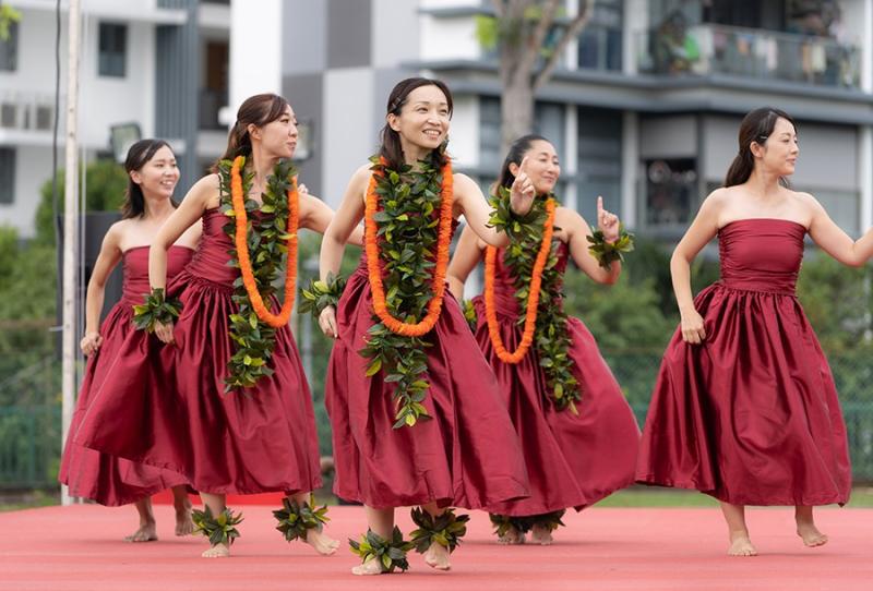 31052947466d533b88f30a8.11917702