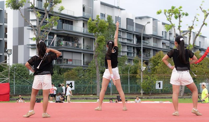 8021778666d533c316f724.72606535