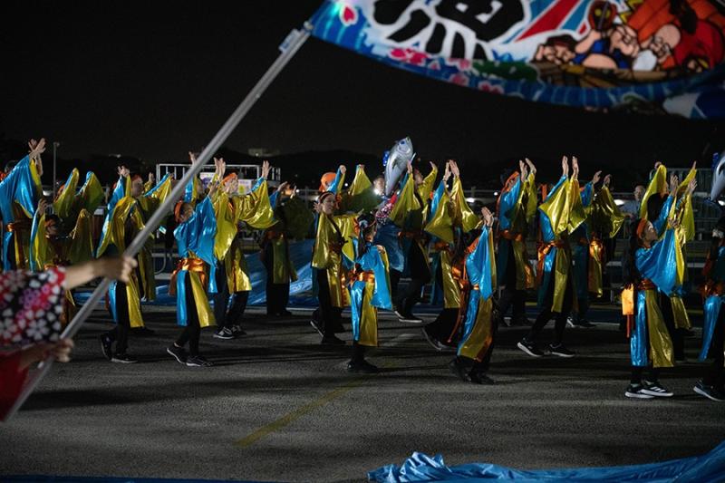 27932411667b1feba276ab1.45259630