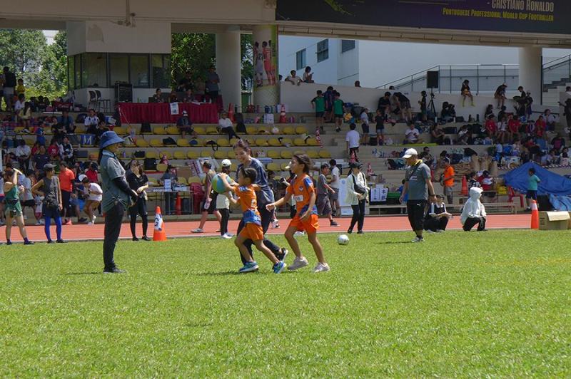 43314106689da3e6677205.76713150