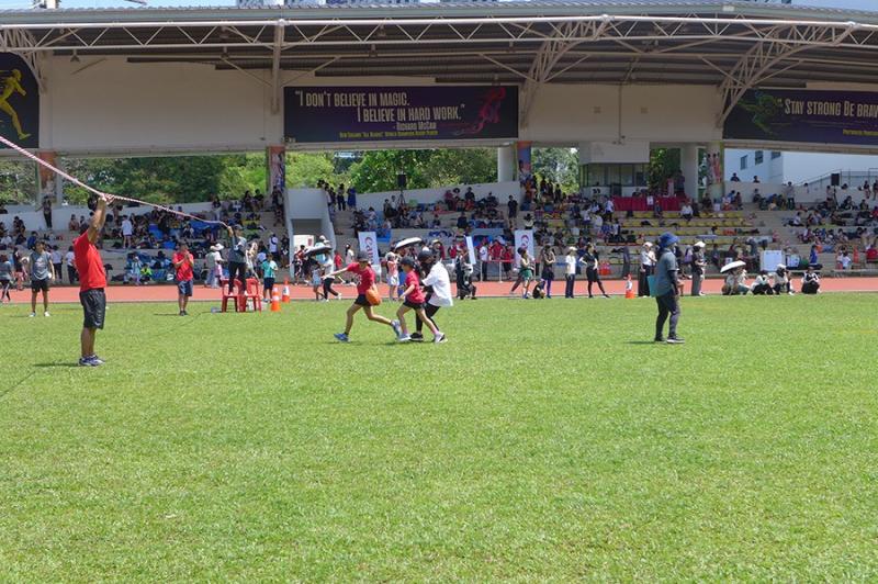 1353582665689da3e79433a4.89851735