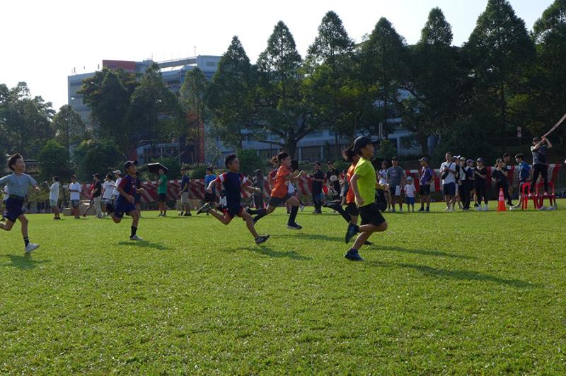 1537671310689da3eb8d6511.91013588