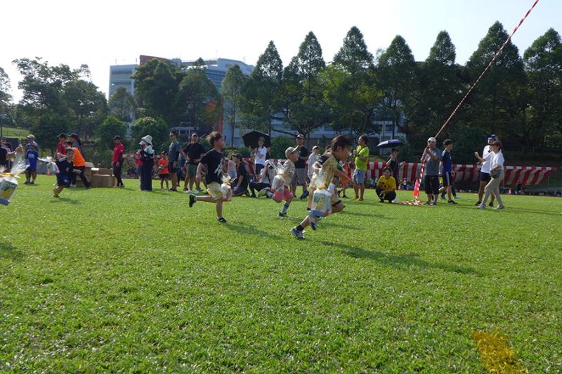 1132366611689da53dbf0976.00121124