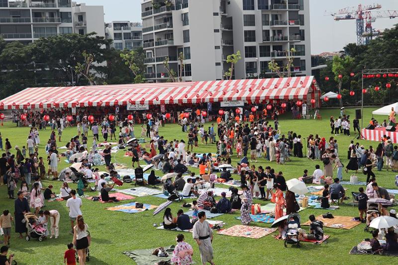 65545169668ccd183d79382.61987880