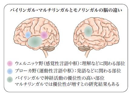 2D-jan-2025.JPG (33 KB)