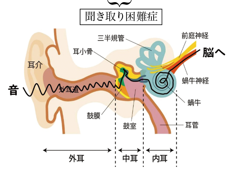 doctor-letter-sep-2025-2.png (347 KB)