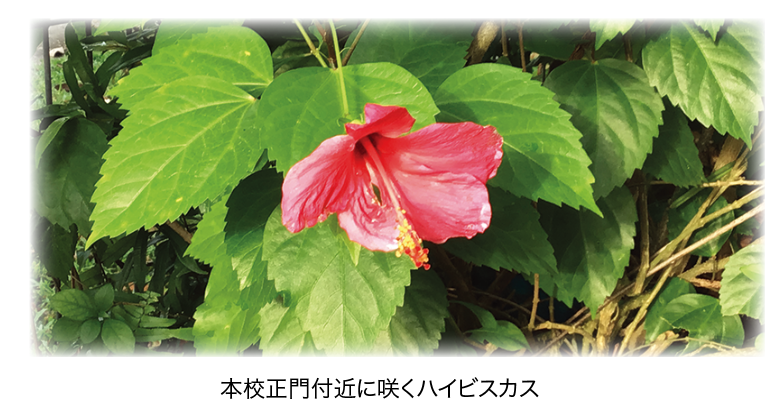 secondary-S_aug2025-4.png (546 KB)