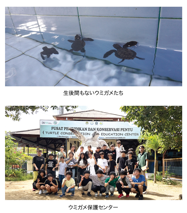 secondary-S_aug2025-9.png (1.21 MB)