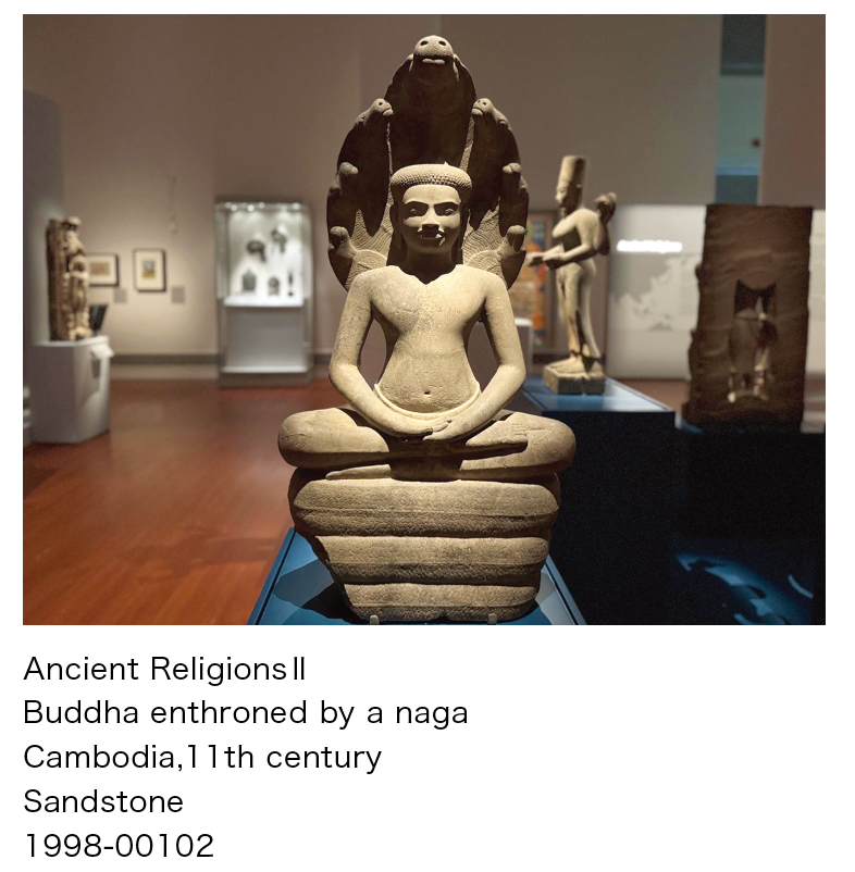 museum_aug2025-2.png (791 KB)