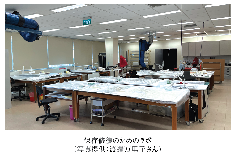 mimosa-oct-2024-3.png (586 KB)