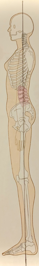 Beautiful_body_2.jpg (90 KB)