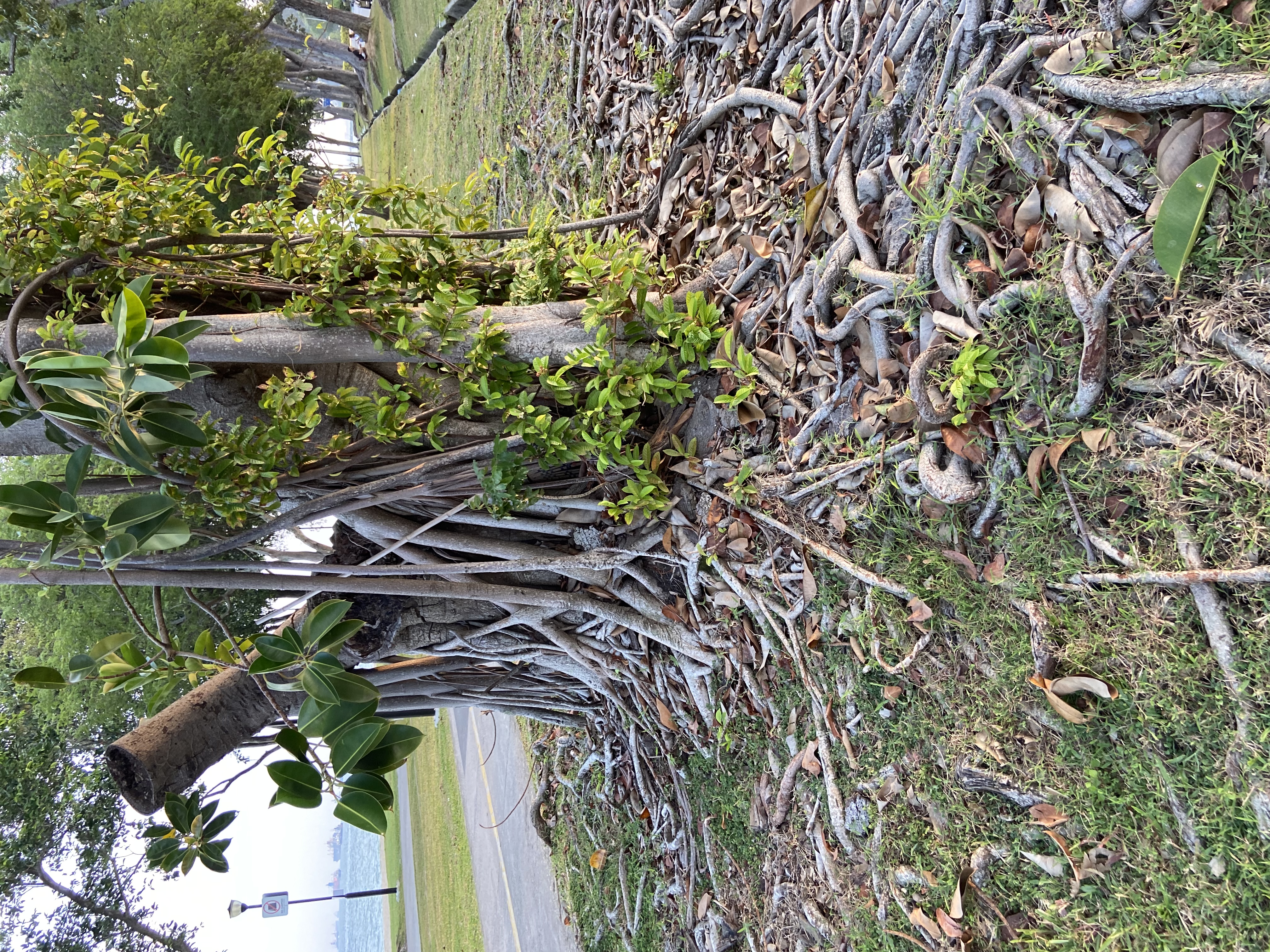 mind-and-body-self-care-column_Sep_2021.jpeg (6.46 MB)