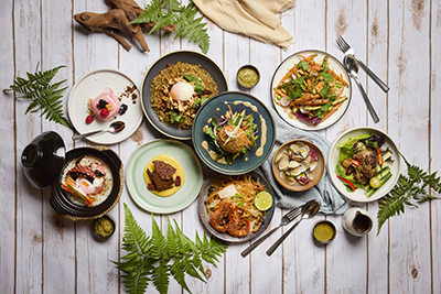 400Sky22_New_Menu_Hero_Shot_LR.jpg (178 KB)